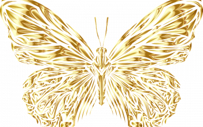 Sophrologie et Hypnose : création de site et SEO